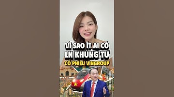 Vì sao ít ai có lợi nhuận khủng từ cổ phiếu VIC của Vingroup dù nó tăng hơn 5 lần trong năm qua