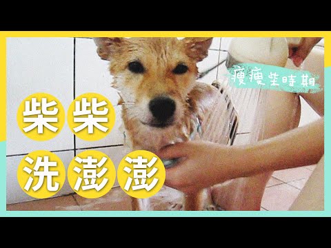 幫猴子柴🙉時期的柴柴小芒果洗澎澎🤣🤣｜芒果妹妹兒時的點點滴滴EP3｜芒果這一家🥭