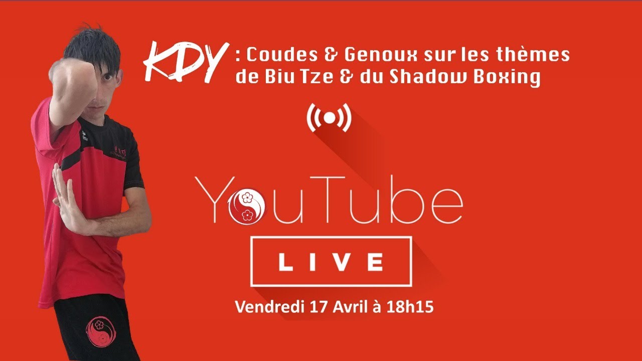 Coudes & Genoux - Entre Techniques de Biu-Tze et Shadow Boxing - "Développez un Wing Chun Percutant"