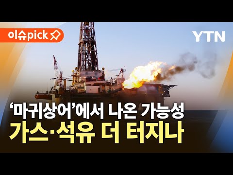 [이슈픽] 최대 51억 <strong>배럴</strong> 추가 <strong>매장</strong> 가능성…대왕고래 이어 마귀상어? / YTN