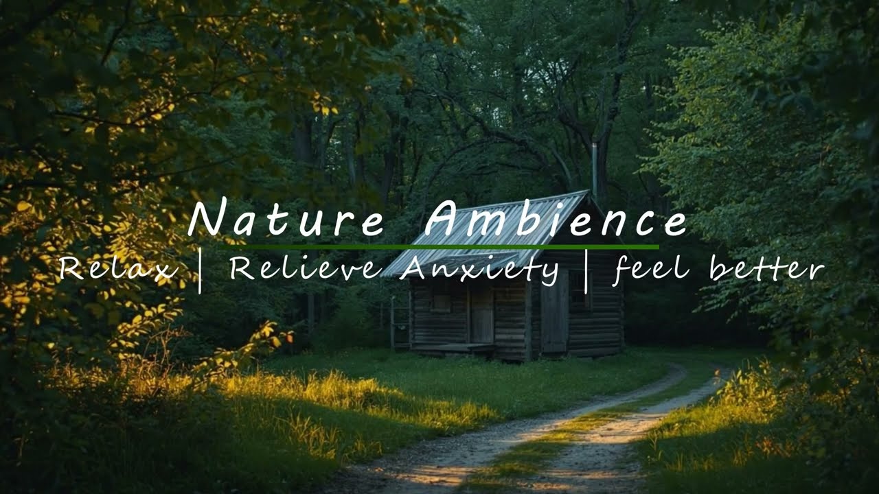 Peaceful Forest Ambience | Gentle Wind, Birdsong & Nature Relaxation view