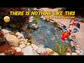 We Built a Koi PARADISE! | Backyard koi pond build