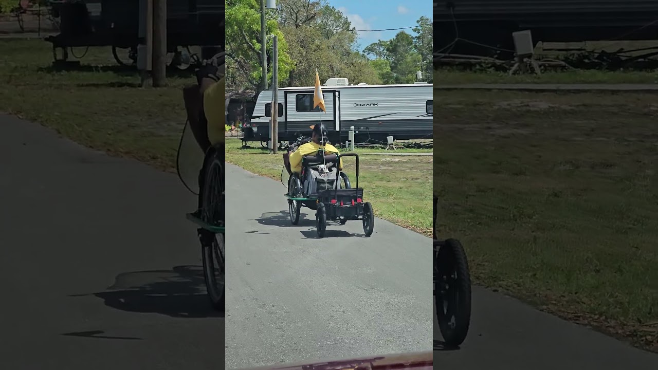Living His Best Life 🐶 | Little Dog, Big Vibes on a Bike Ride