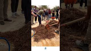 Isotech is advancing circular green waste management solutions in Tunisia