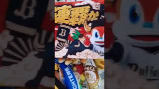 阪神タイガースファンが集まる商店街 (尼崎中央商店街)　Enthusiastic Fan of Hanshin Tigers