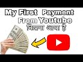 My First Payment From YouTube कितना आया है? #Youtube #pubglite  @Ibertlinn