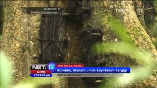Promo Indonesia Bagus Toraja  - NET17