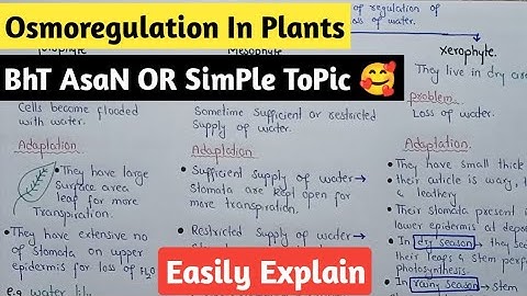 Osmoregulation In Plants | Hydrophyte, Mesophyte And Xerophyte Plants | Class 12 Biology