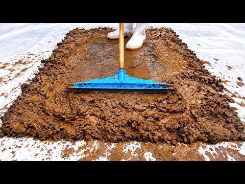 The world's worst mud carpet - even scrubbing couldn't remove this much mud - ASMR