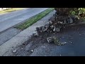 End of video