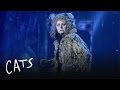 Grizzabellas rejection  cats the musical