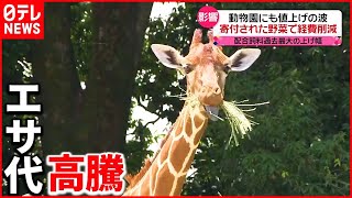 【物価高】動物園・水族館にも“値上げ”の波  エサ代や光熱費が…