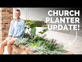 Church Planter Update + How Other Pots Around the Yard are Doing | Gardening with Wyse Guide