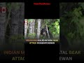Indian man killed in Northern Saskatchewan following a rare black bear attack #bearattack