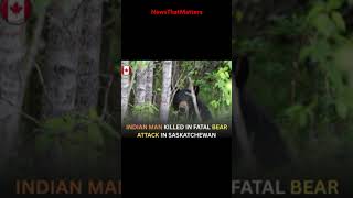 Indian man killed in Northern Saskatchewan following a rare black bear attack #bearattack