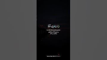 سورة آل عمران آیه ۱۴۴ 🤍شیخ إدريس أبكر حفظه الله 🎙