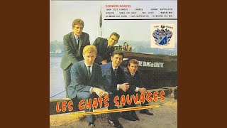 Video thumbnail of "Les Chats Sauvages - Emmène-moi"