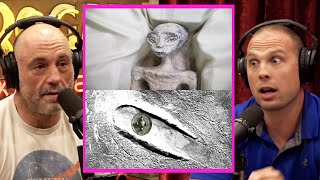 New Recovered ALIEN Remains! | Joe Rogan \& David Grusch