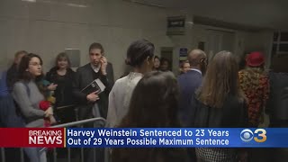 Celebrity Convicted Rapist, Disgraced Movie Producer Harvey Weinstein Sentenced To 23 Years In Prison Net Worth