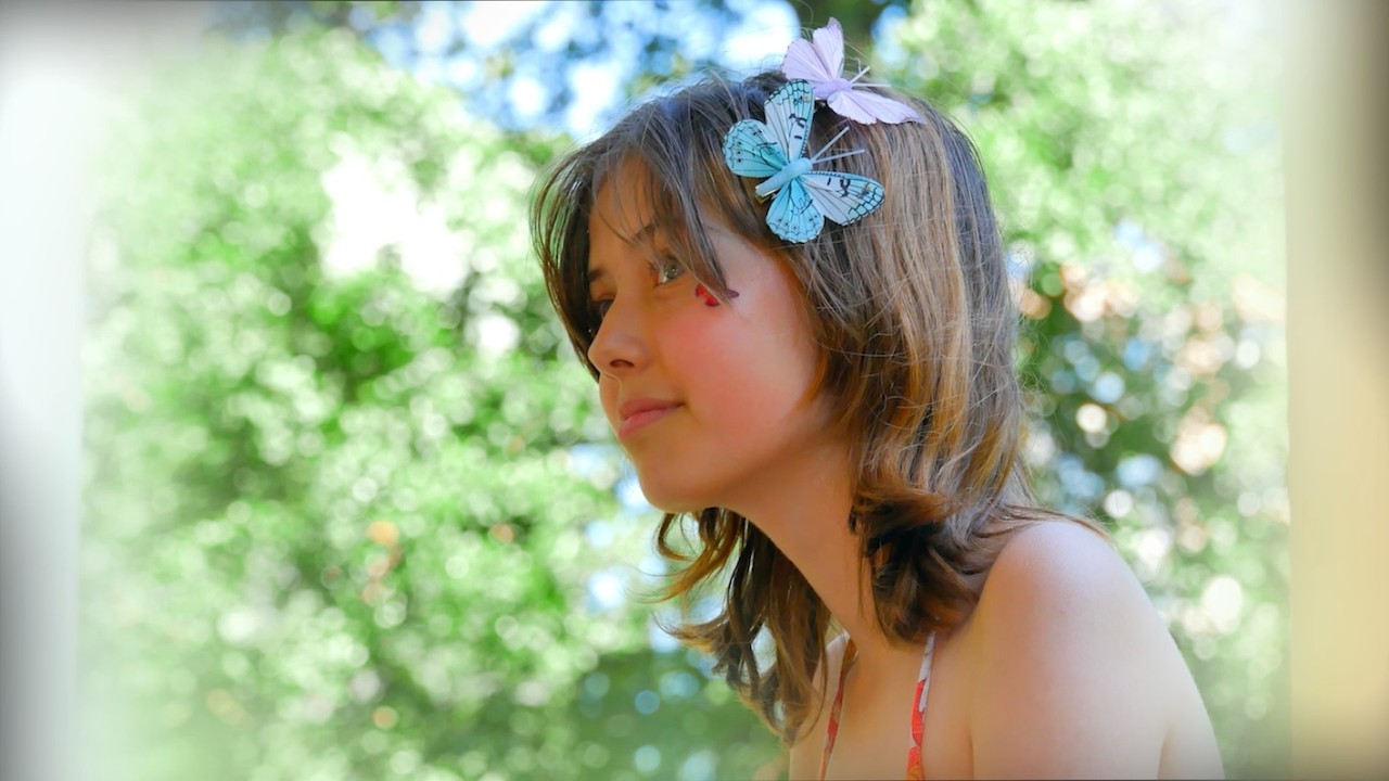 Motýlí křídla