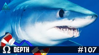 MAKO SHARK = SONIC FAST FRENZY! | Depth Divers vs Sharks #107 Multiplayer Rounds! screenshot 5