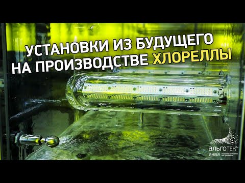 Как производят планктонную хлореллу от компании Альготек?  #производство #хлорелла #новыеустановки