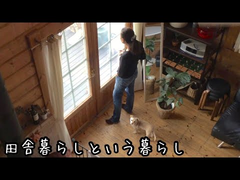 楽しみ方は無限大【田舎暮らし】庭や畑の様子｜VLOG｜東京から熊本へ！右も左も分からない土地で１７年｜５０代夫婦の移住生活