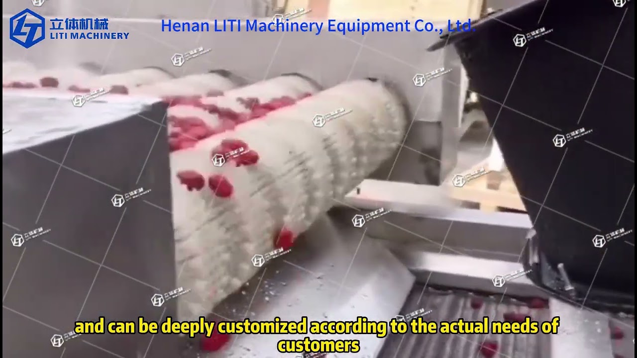 Red date, fruit and vegetable washing machine