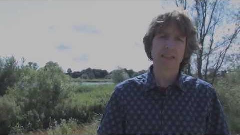 Master | Freshwater and Marine Biology | University of Amsterdam