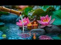 Deep Sleep Water Sounds & Healing Piano - Stress Relief, Calm Anxiety and Peaceful Meditation