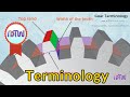 Spur Gear Terminology Animation