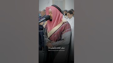 قرآن كريم راحة نفسيه القارئ احمد النفيس #اكسبلور #احمد_النفيس #دويتو #لايك #حالات_واتس #duet