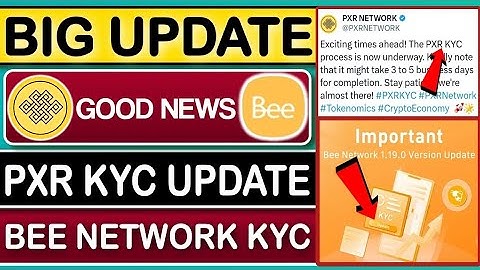 PXR Network KYC Update | BEE Network KYC Update | New Crypto Loot Today | Rizwan Blouch