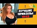 Смех до слез | Лучшие приколы 2020 АВГУСТ | Best Coub 2020 №49