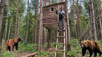 Bears Attack my TreeHouse - Survival 7 Days in the Wild Forest
