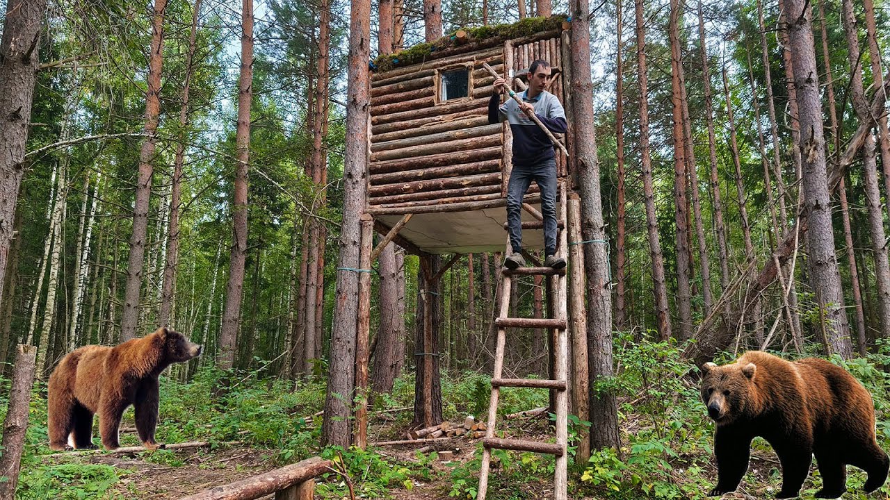 Bears Attack my TreeHouse - Survival 7 Days in the Wild Forest