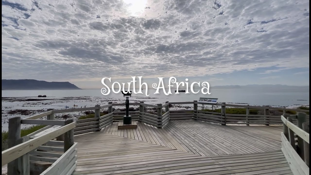 South Africa | 10 Minutes Penguins Relaxation 10 分鐘企鵝放鬆