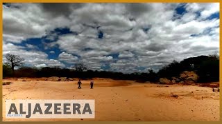 🇰🇪 earthrise - Fighting desertification in Kenya & the remakery