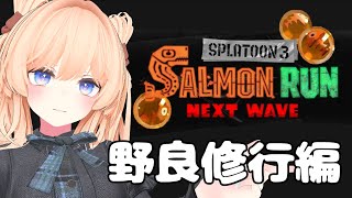 サーモンランでにこにこしたい!【スプラトゥーン3 / サーモンランNEXTWAVE】