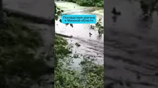 Последствия непогоды в Минской области / #новостибеларуси