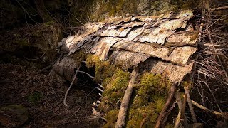 MAKING and COOKING WILD LEEK SOUP at a NATURAL DEBRIS HUT in the FOREST with 2 DOGS screenshot 2