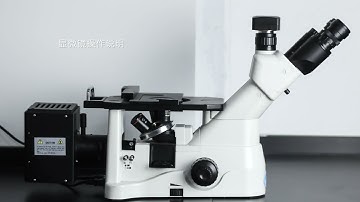 Metallographic microscope operation tutorial video