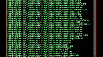 Setting up DVWA with XAMPP on Linux