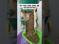 Machine à Granulés Alimentaires – Machinerie Agricole Puissante! #china #machine #machinerychannel