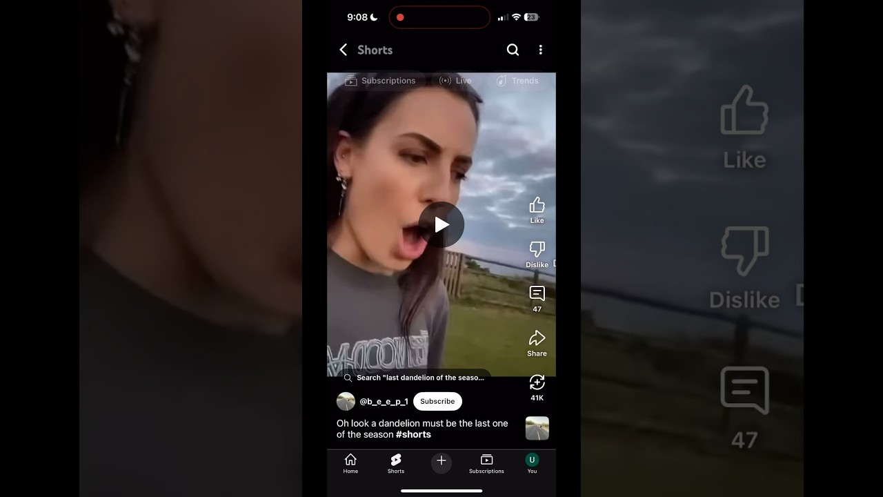 Turkey Slurpee, and dandelion ￼