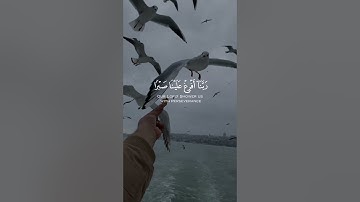 ربنا أفرغ علينا صبرا وتوفنا مسلمين [الأعراف: ١٢٦] القارئ #سعد_الغامدي