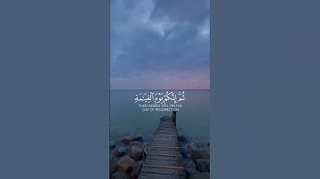 سورة الزمر || القارئ عبدالرحمن العُمري