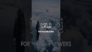 ▪️Surah Al-Mumtahanah▪️Ayah 4-5🎙Raad Mohammad Al Kurdi