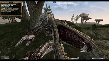 TES3MP Spawn System Script