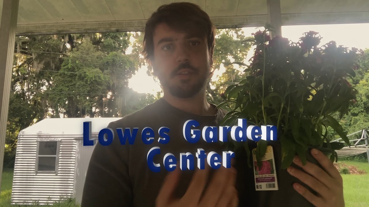 Garden Shopping Haul 1 - Lowes Had Goodies